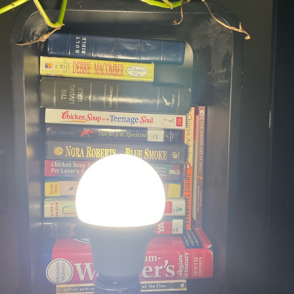 LED Light bulb **with remote** - Picture 3 of 4
